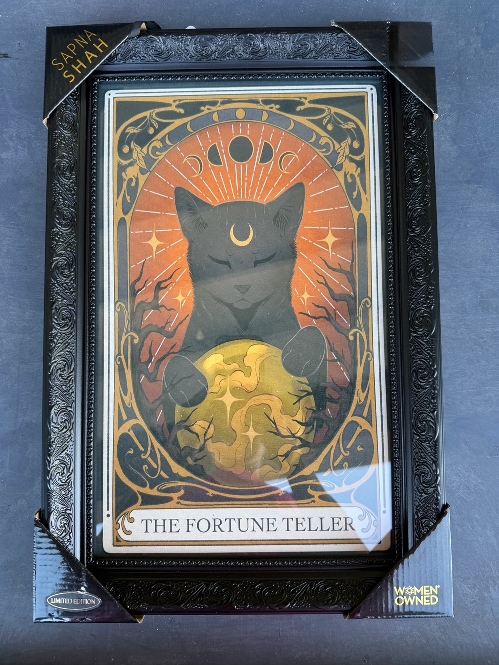 Sapna Shah – Fortune Teller Black Cat Loteria 18”x12” Framed Wall Art Print NEW